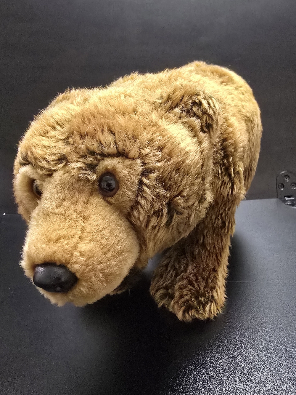 Ganz Webkinz Signature Endangered Brown Bear WKSE3006